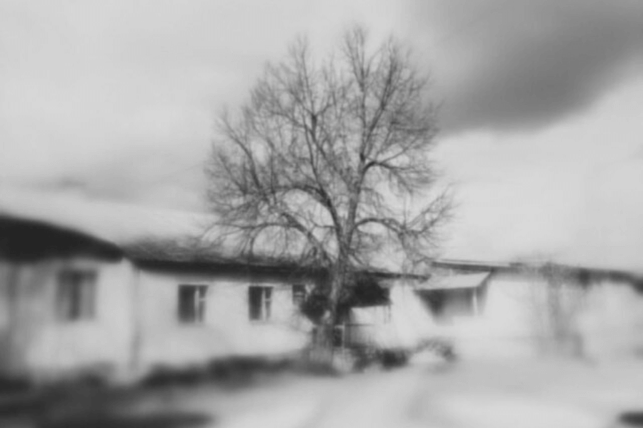 A blurry, black and white photograph of a leafless tree standing in front of a low, older residential building under a cloudy sky. The hazy quality evokes a sense of memory, abandonment, or decay, commonly used in visual storytelling about institutional living, displacement, or forgotten communities.