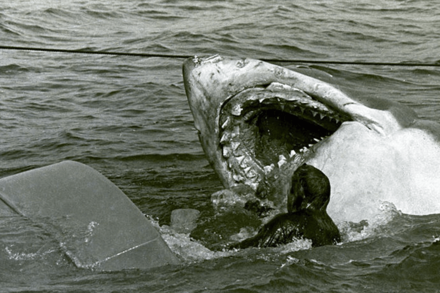 A black-and-white image shows a dramatic scene where a diver or stunt person in the water appears to be attacked by a massive mechanical shark with its jaws wide open. The iconic shark prop is likely from a movie set, possibly from the film Jaws.