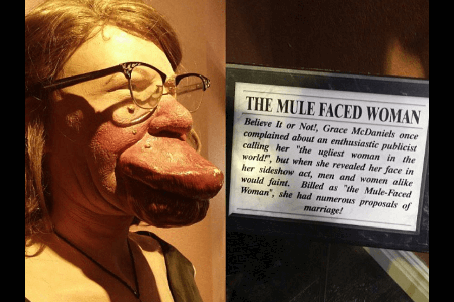 Photo showing a wax figure of Grace McDaniels, known for having a severe facial deformity from Sturge-Weber syndrome, paired with a placard titled “The Mule-Faced Woman.” The figure wears glasses and a necklace, and the exaggerated facial features reflect how she was publicly displayed. The sign references her being labeled "the ugliest woman in the world" and recounts that people fainted upon seeing her face during her sideshow act. The exploitative language contrasts sharply with modern views on dignity and disability representation.