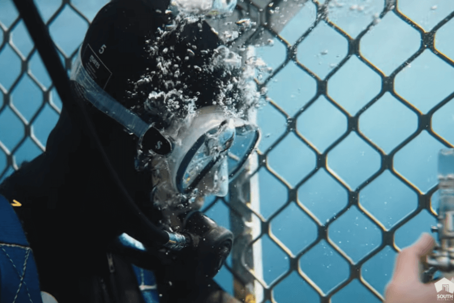 A scuba diver in full gear, including a black wetsuit and snorkel mask, floats inside a shark cage while bubbles rise around their face. The diver appears to be focused on an object held by another hand just outside the frame, with the cage’s metal grid creating a protective barrier.