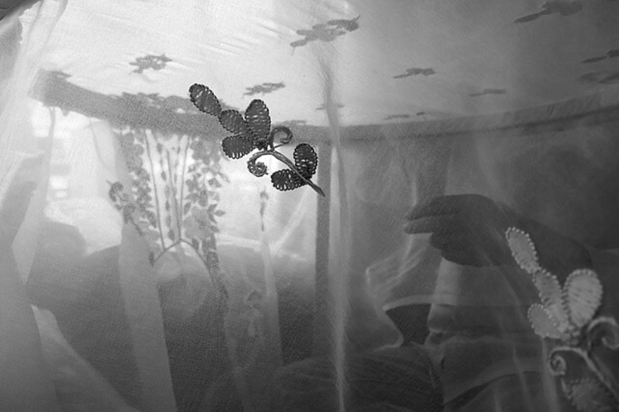 Black and white photograph of embroidered fabric with floral patterns, viewed up close. Behind the sheer textile, a soft silhouette of a hand reaches gently through the translucent material, creating a layered effect of shadow, texture, and human presence. The image evokes themes of intimacy, tradition, and veiled identity.