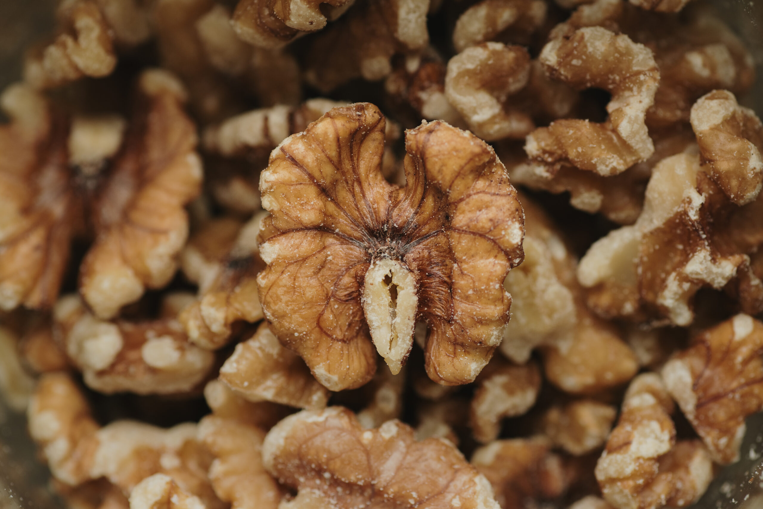 Walnut kernels close-up