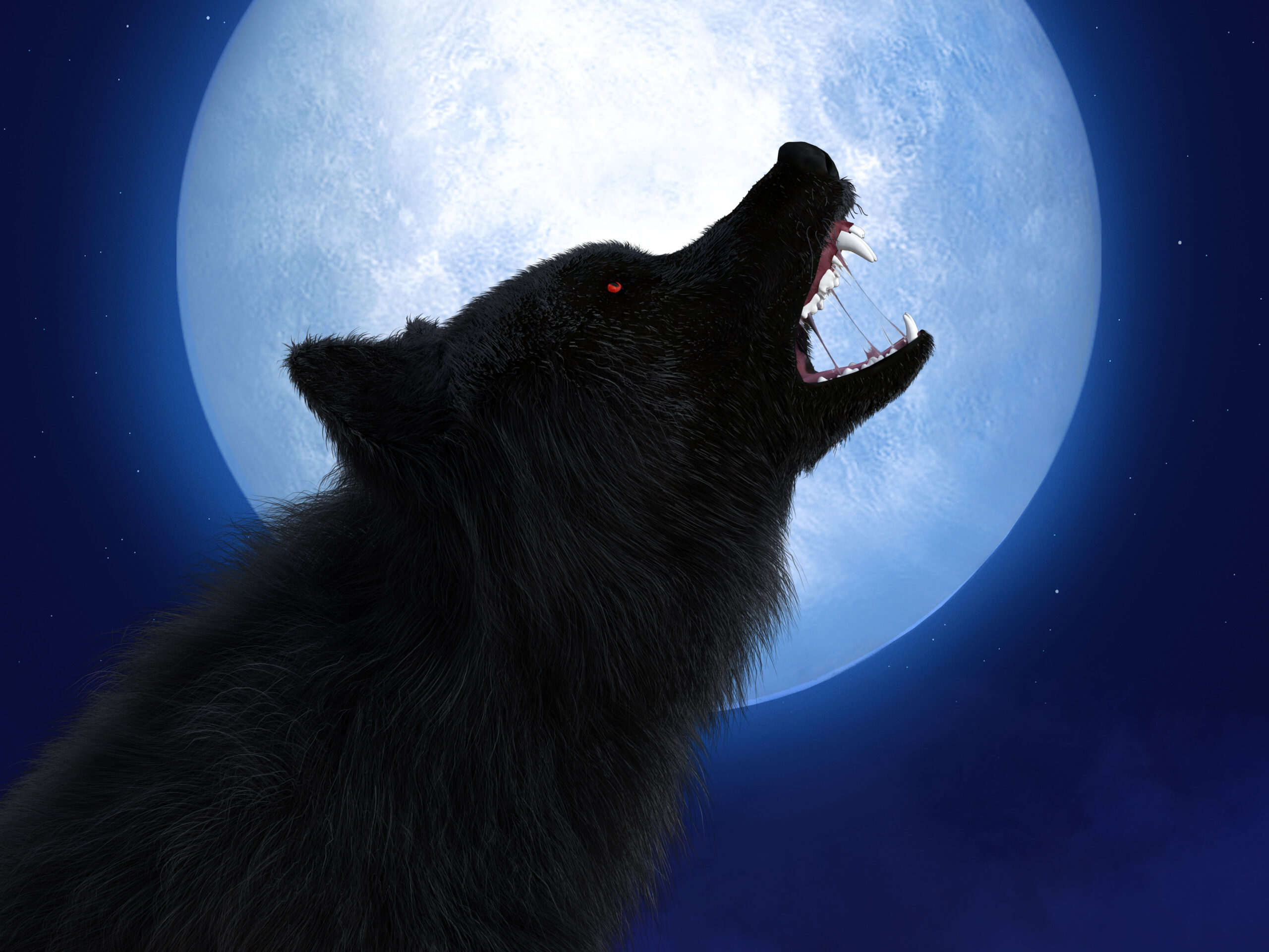 3D rendering of a black wolf or werewolf with glowing red eyes howling at the big moon. Stars in the night sky.