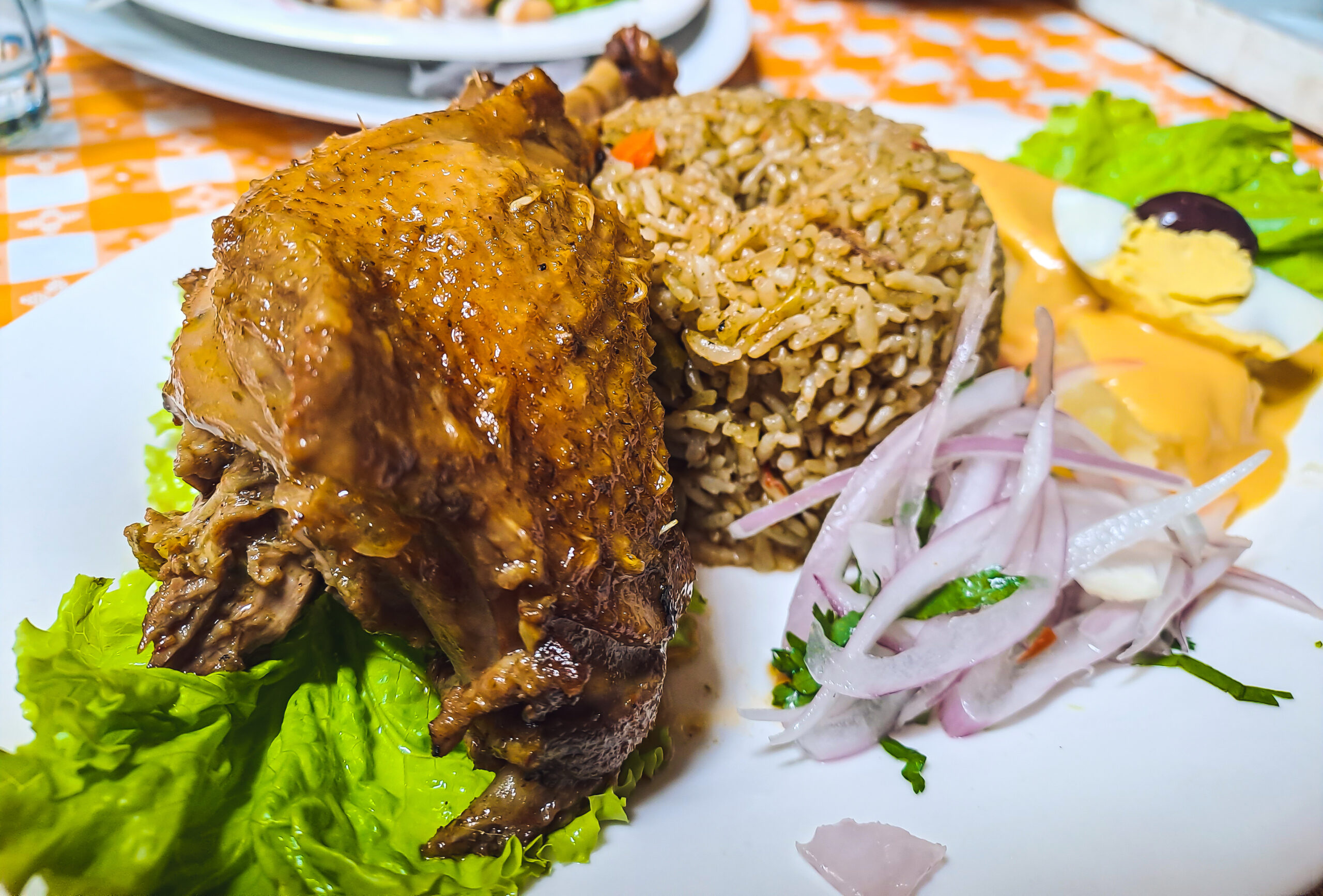 Duck and rice with huancaina sauce. Arroz con pato y papa a la huancaina. Peruvian dish. White dish.