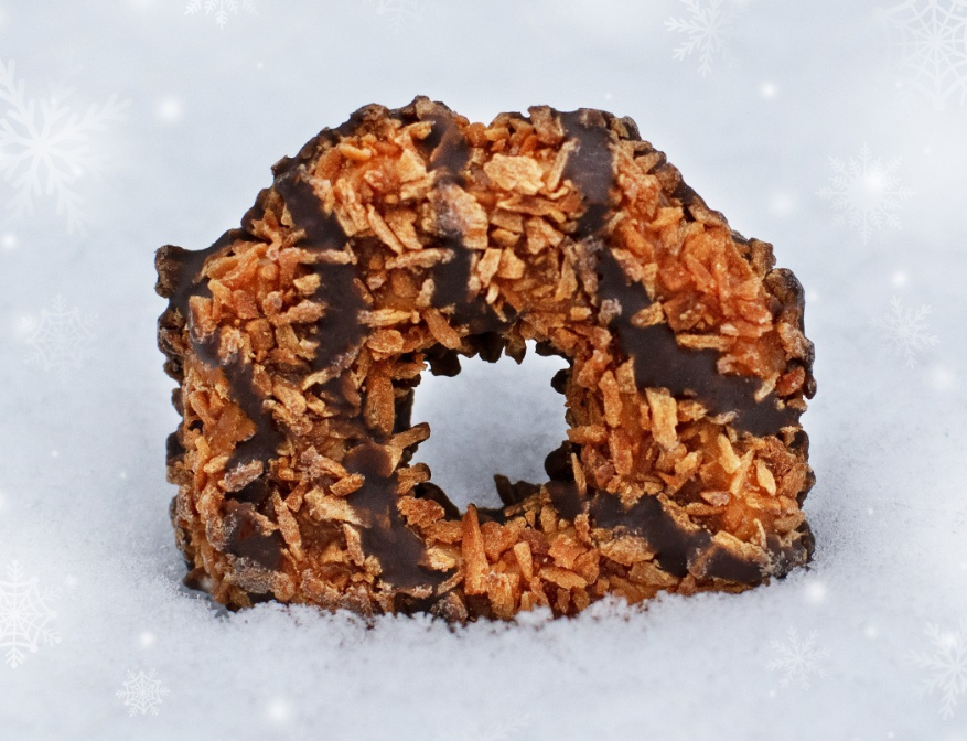 Samoa cookie in snow, Instagram