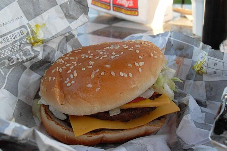 Big Buford burger from Checkers