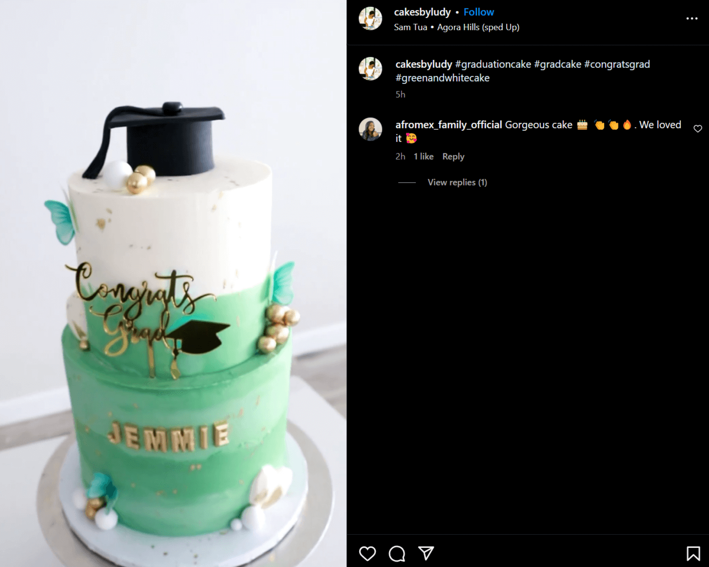 Instagram post of graduation cake idea with butterflies in green and white