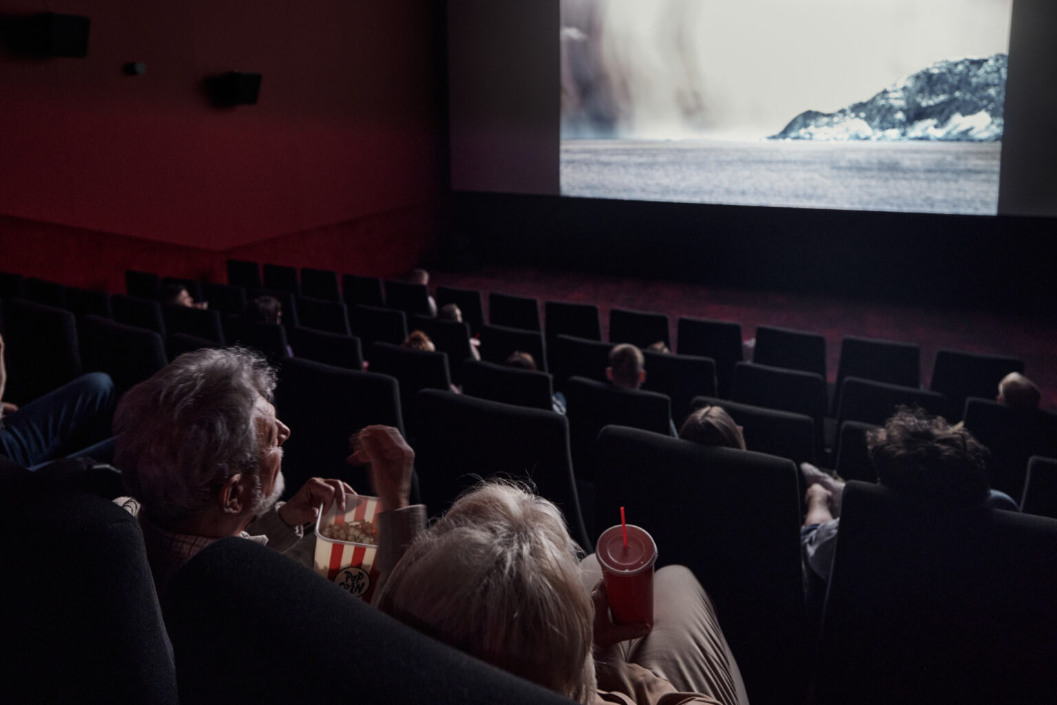 Back view of a mature couple watching a movie in cinema.