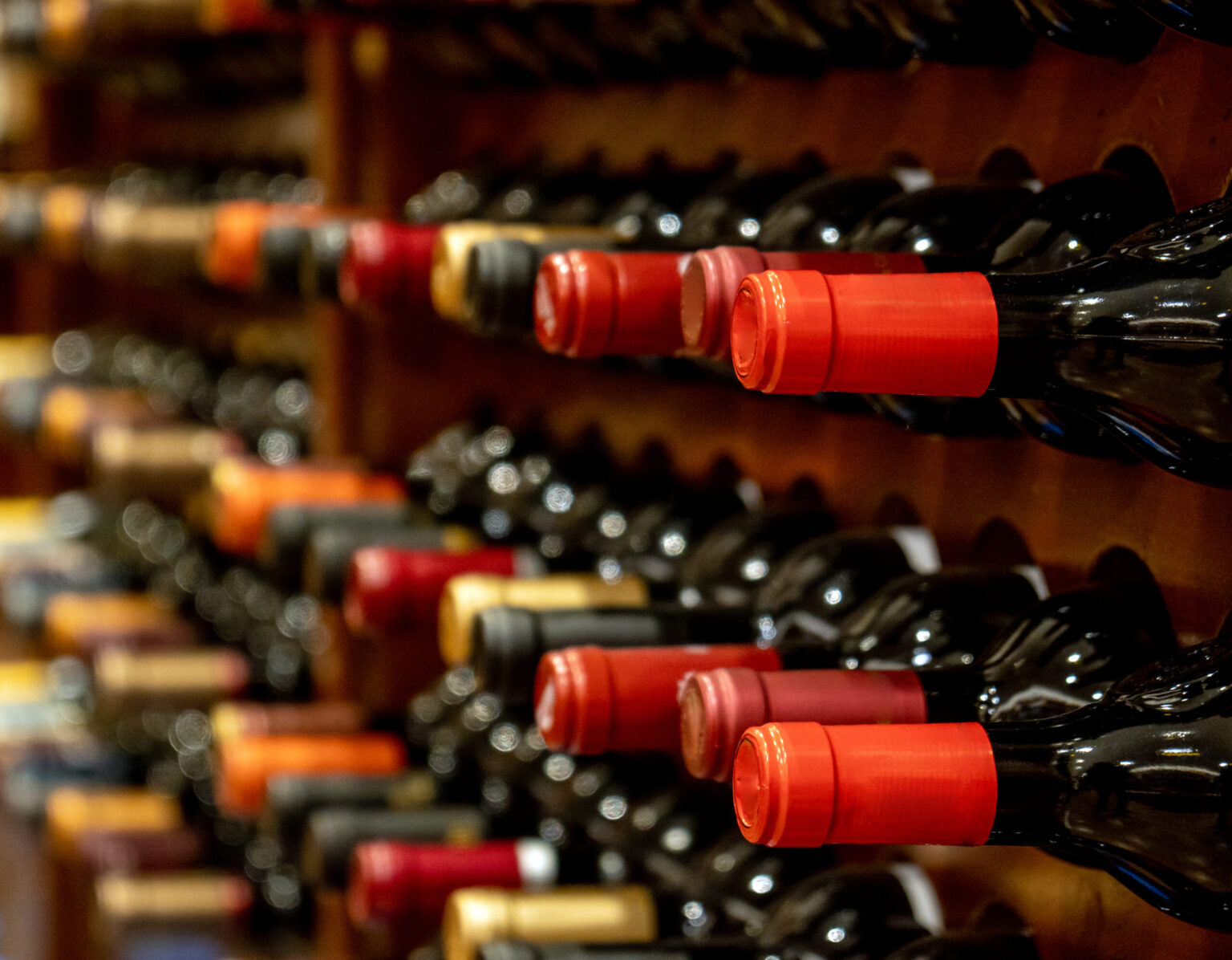 Bottles of black red wine lined up and stacked on wooden wine rack shelves