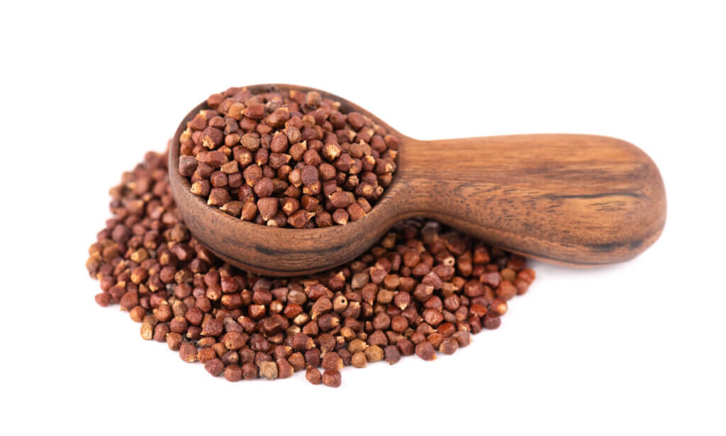 Guinea pepper grains in wooden spoon, isolated on white background. 