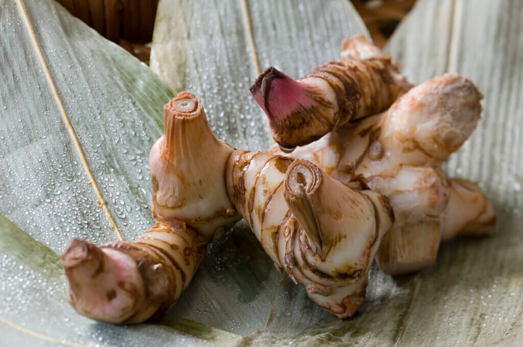 Galangal root