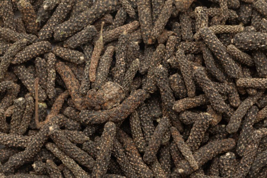 Long Pepper