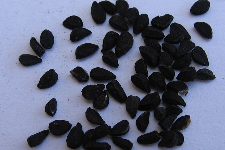 Nigella Seeds