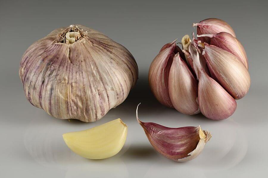 Garlic bulbs and cloves.