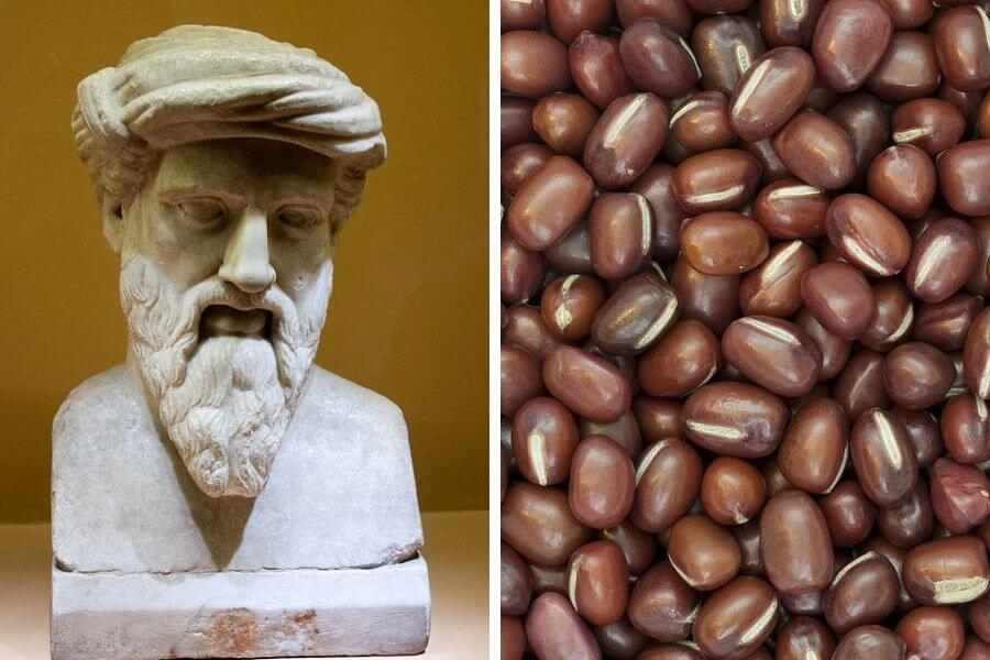 Phytagoras/Beans