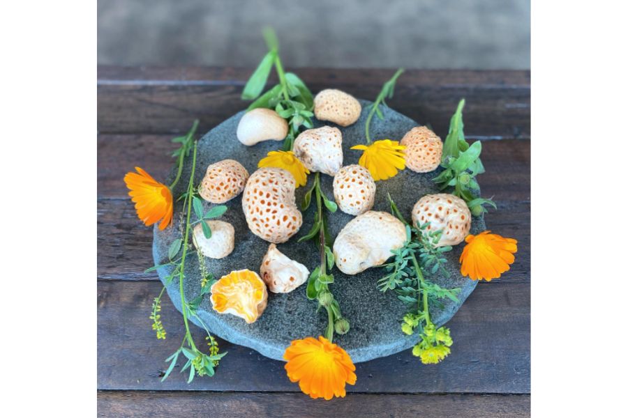 orange mashrooms and flowers on top of a grey clay plate