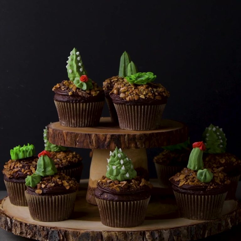 succulent cupcakes