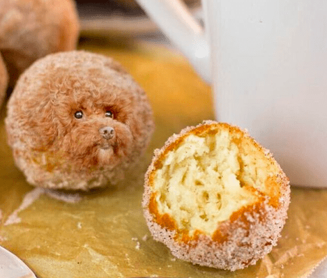 This Dogs In Food Instagram Is The Best Thing That Will Ever Happen To Us