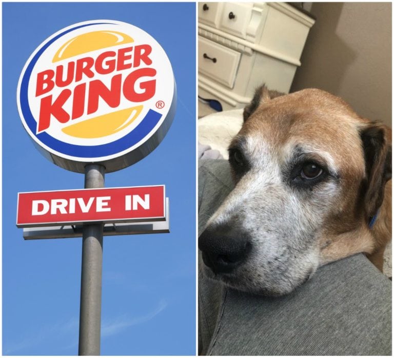 burger king treat for terminally ill dog