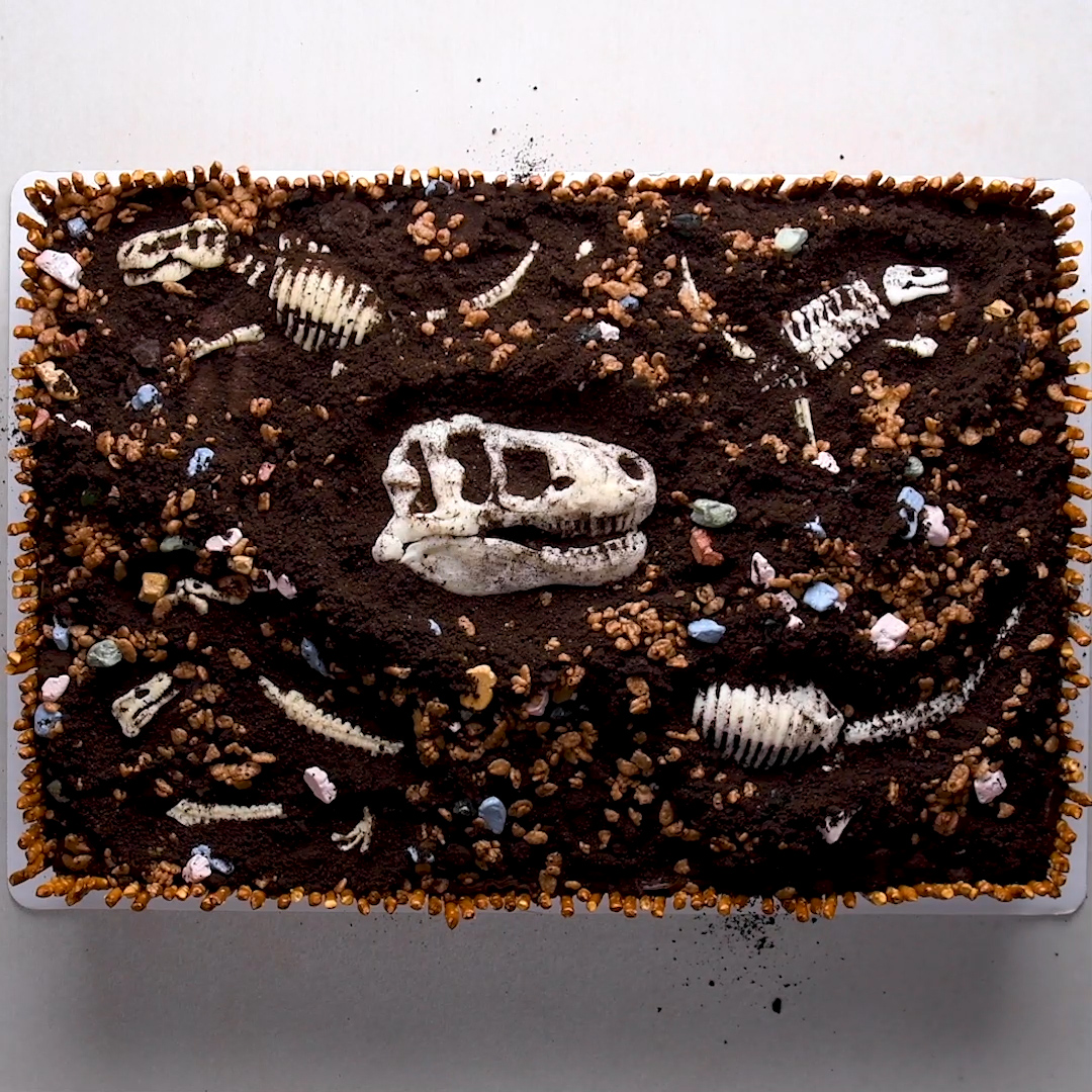 Dig Your Own Fossil Cake