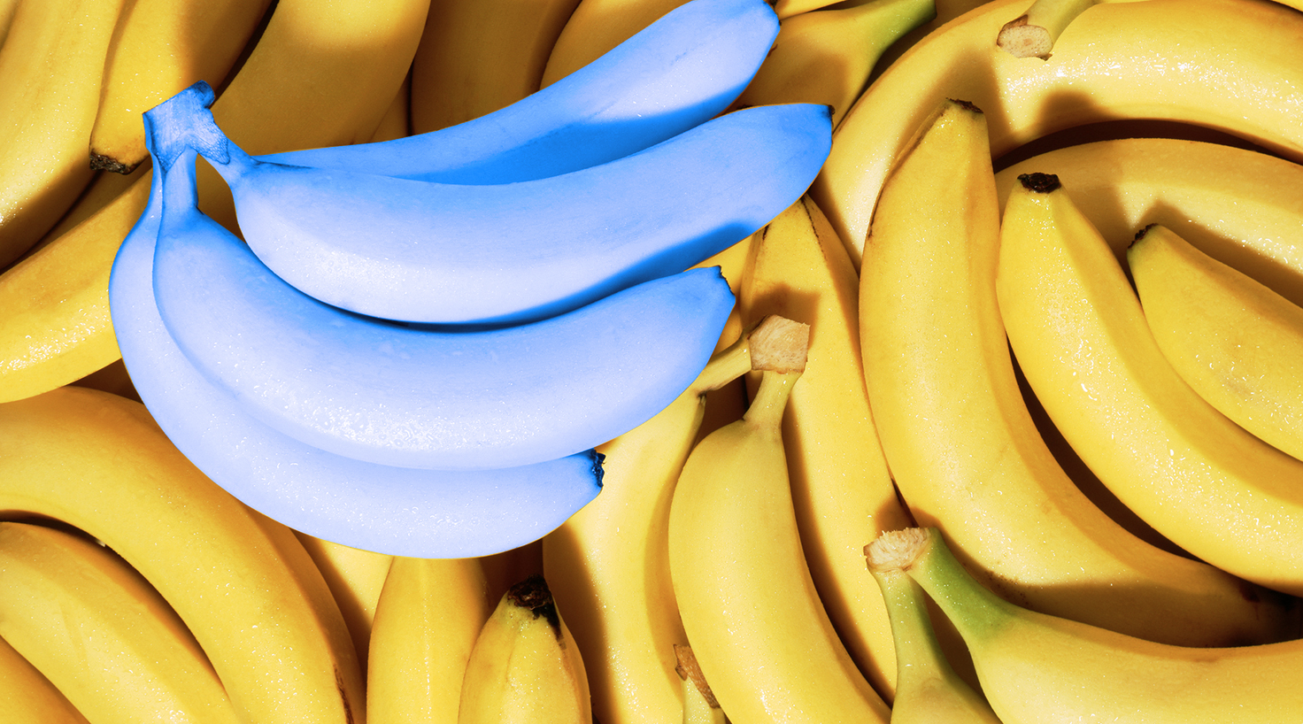 Blue Bananas That Taste Like Ice Cream Are Being Sold,Best Hangover Cure 2019