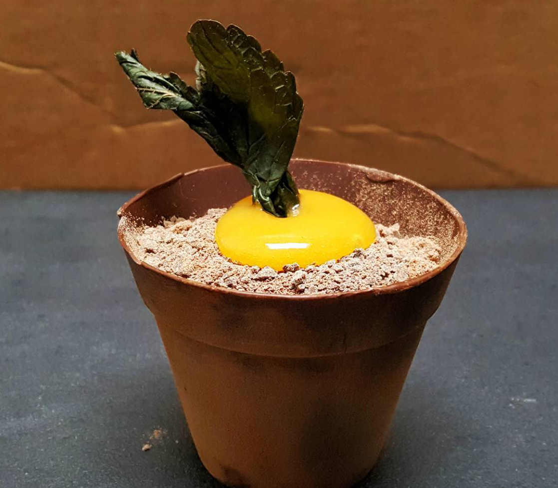 Plant and plant pot made of food on a grey surface, from chefbenchurchill instagram