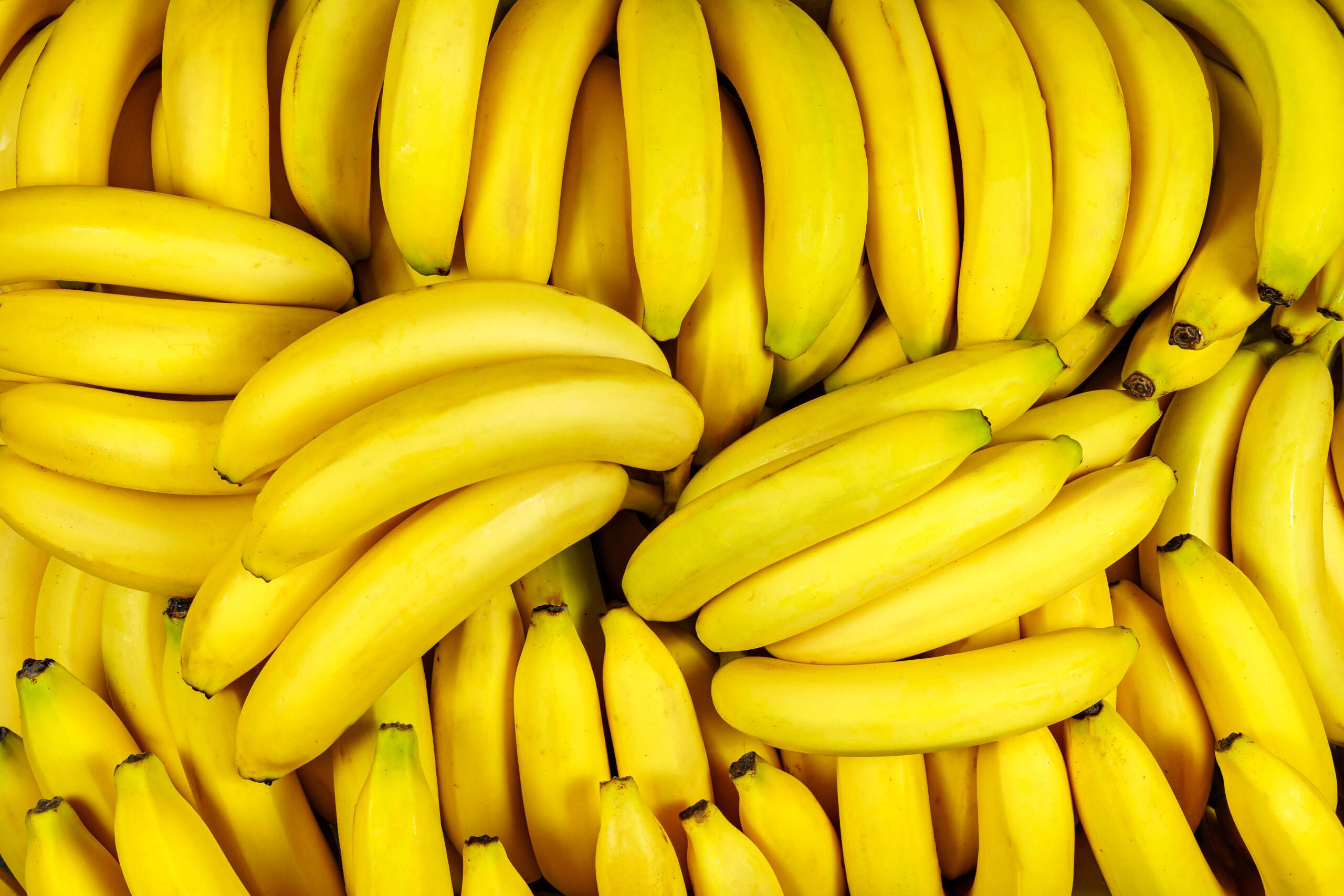 Background of many banana pieces, overhead view, studio food photography. Macro