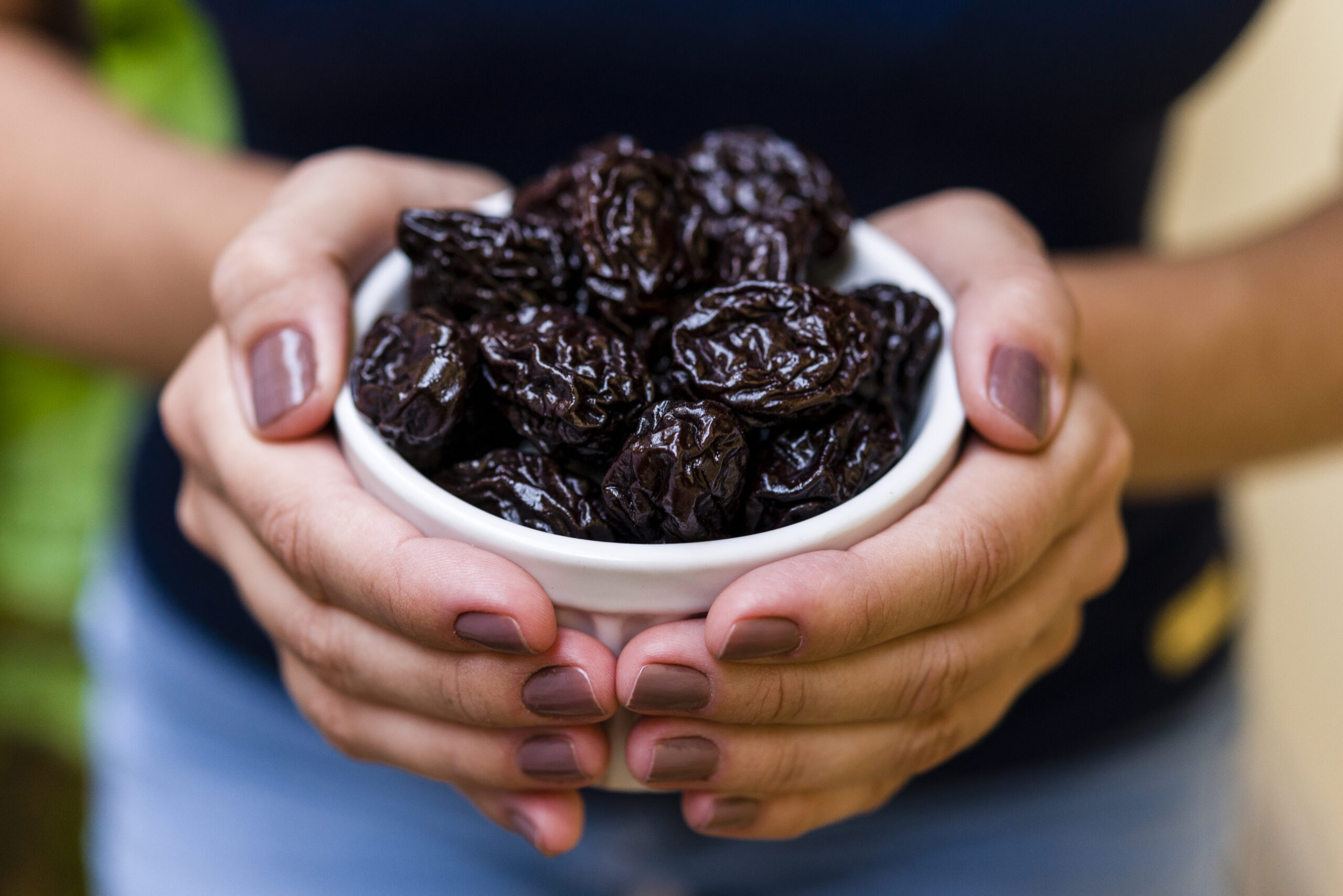 Hand of brunette model holding white pot with dried plum.