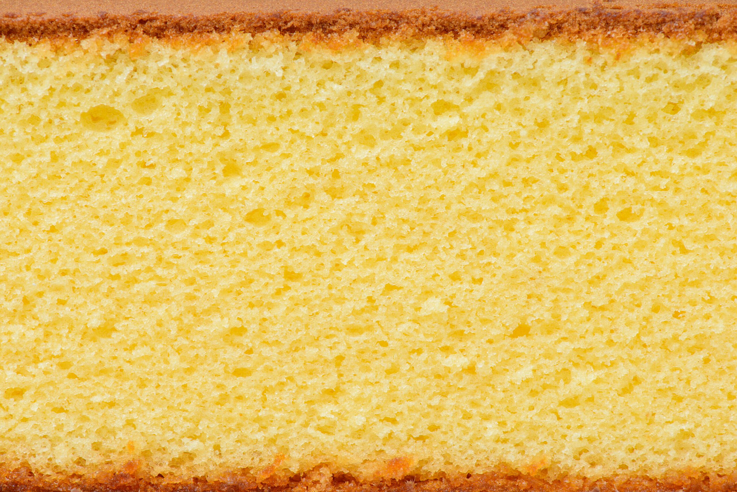 sponge cake