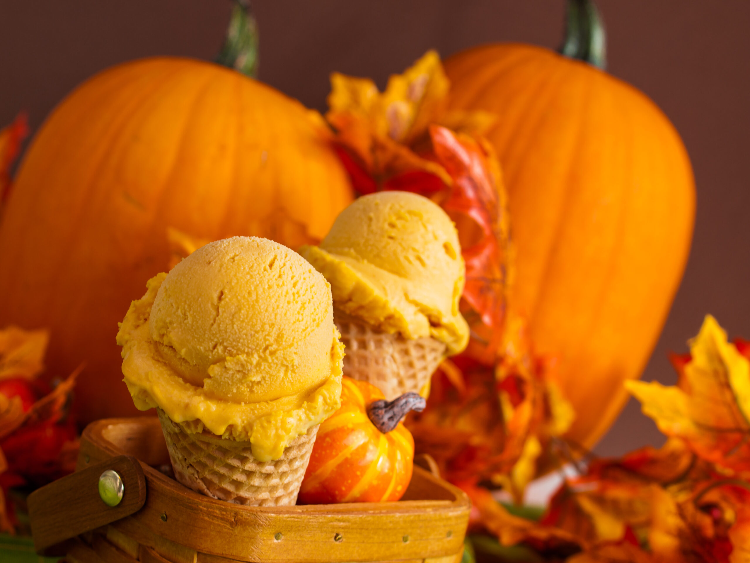 Pumpkin Ice Cream