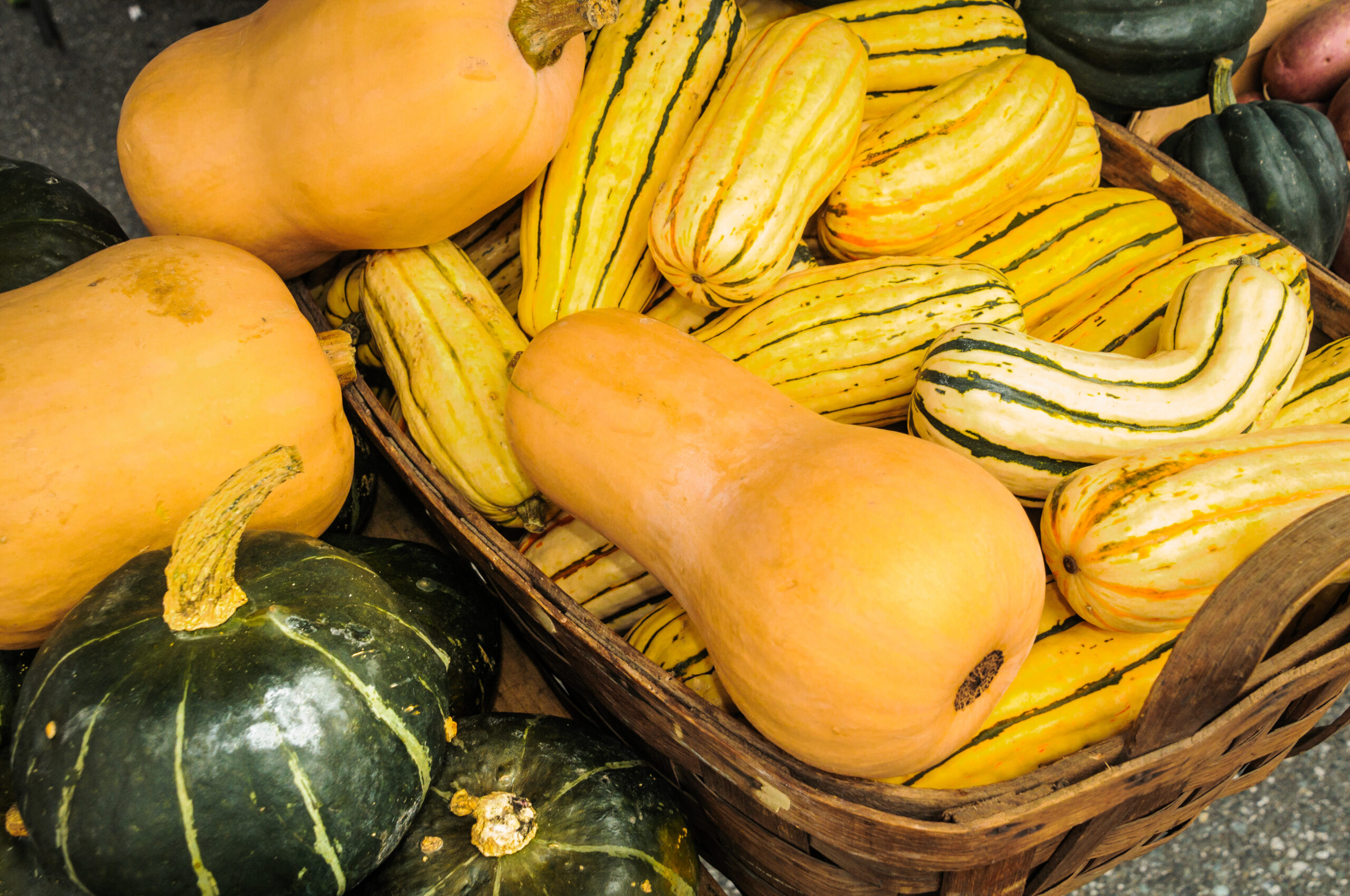 A basket of butternut, squash