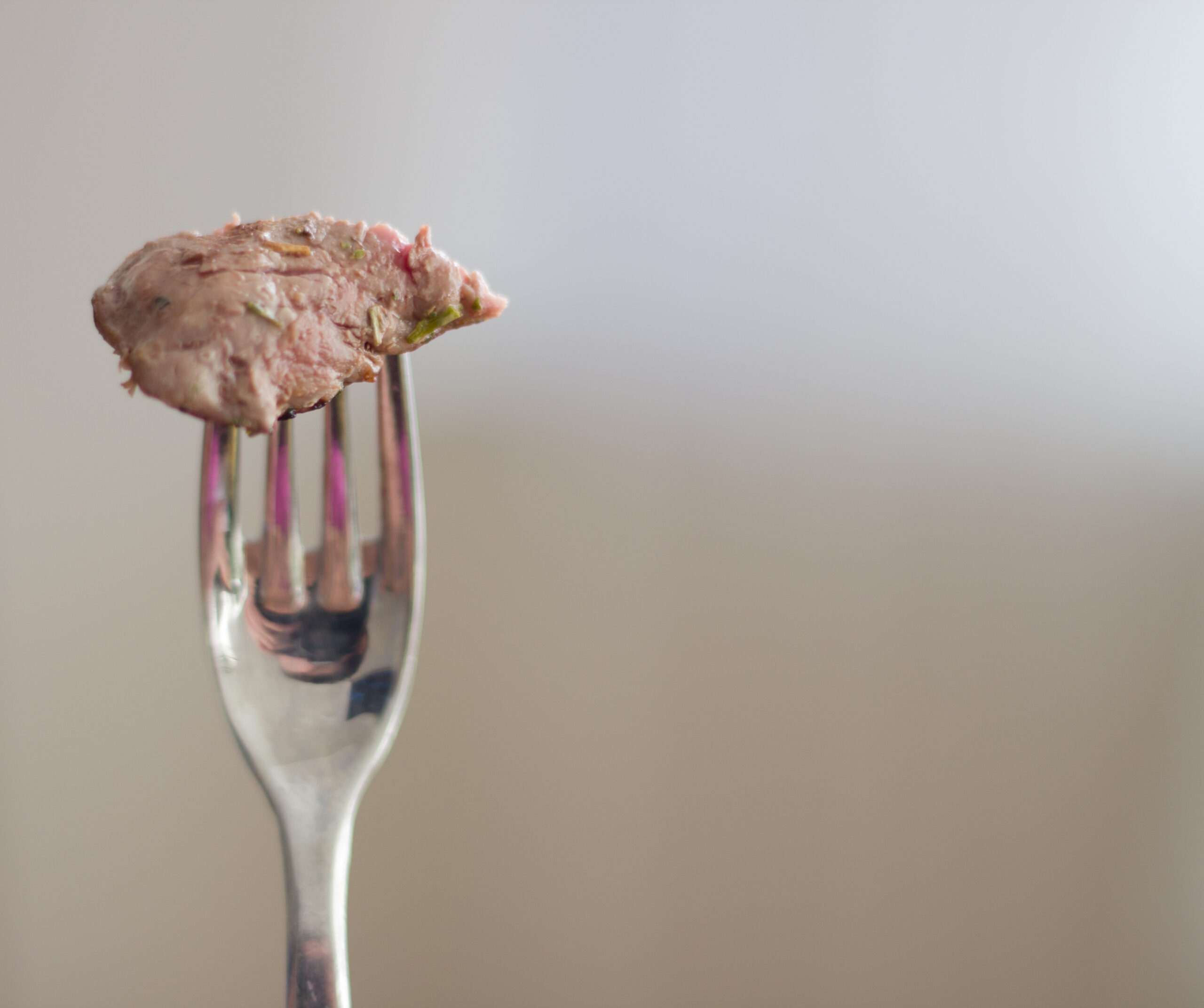 A bite of horse meat on a fork.