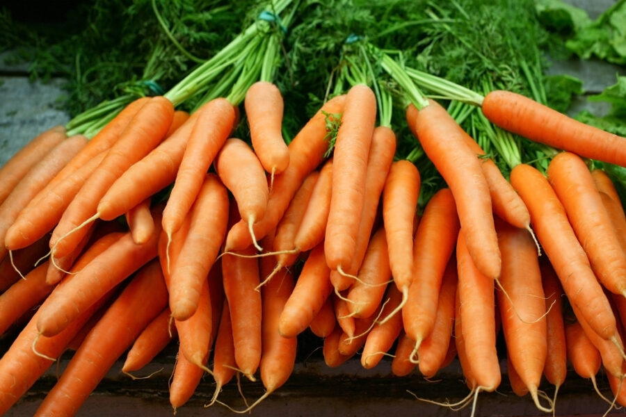 Carrots