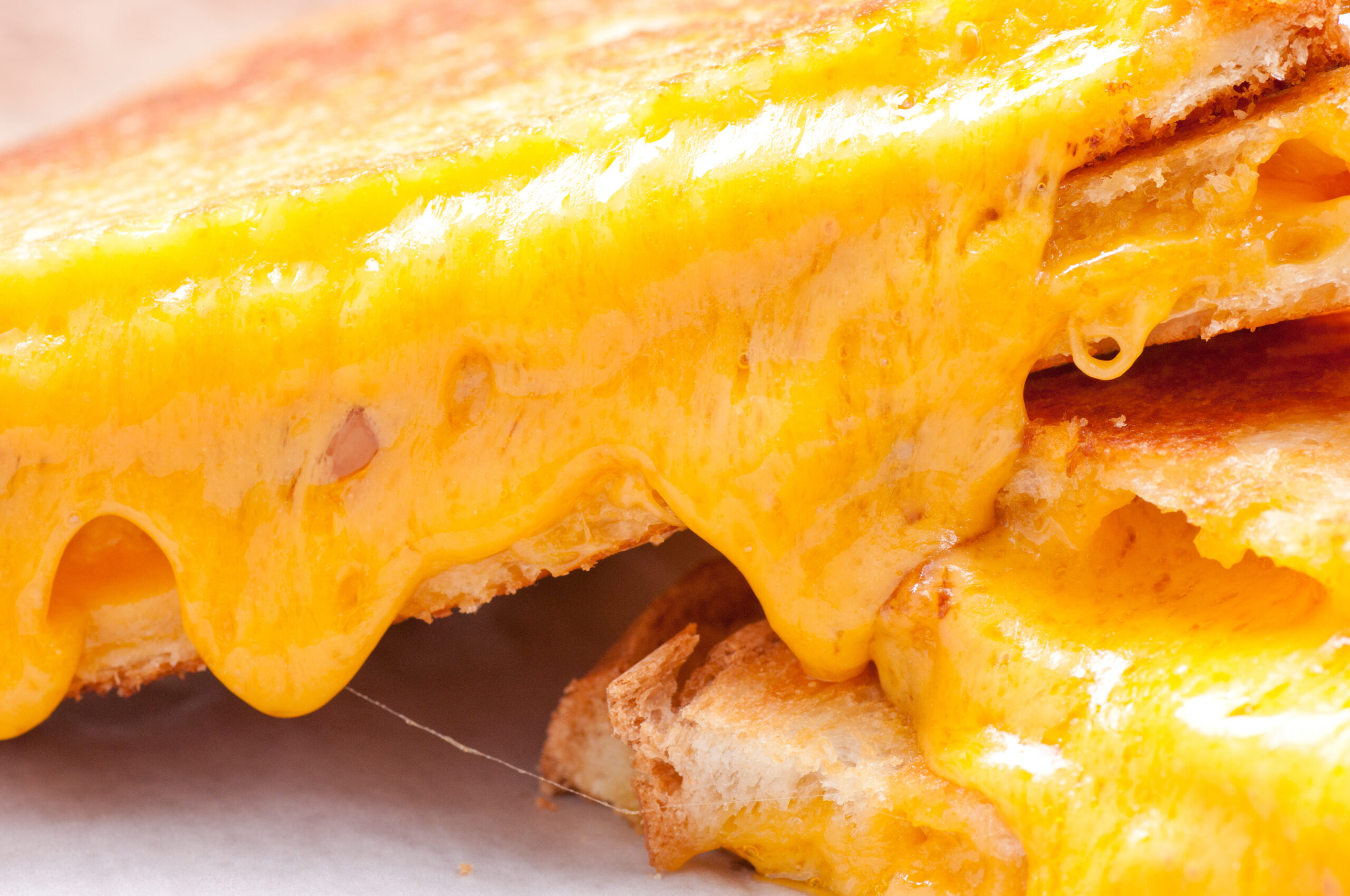 grilled cheese sandwiches