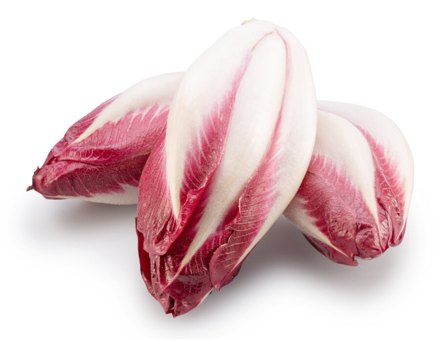 Red endives 