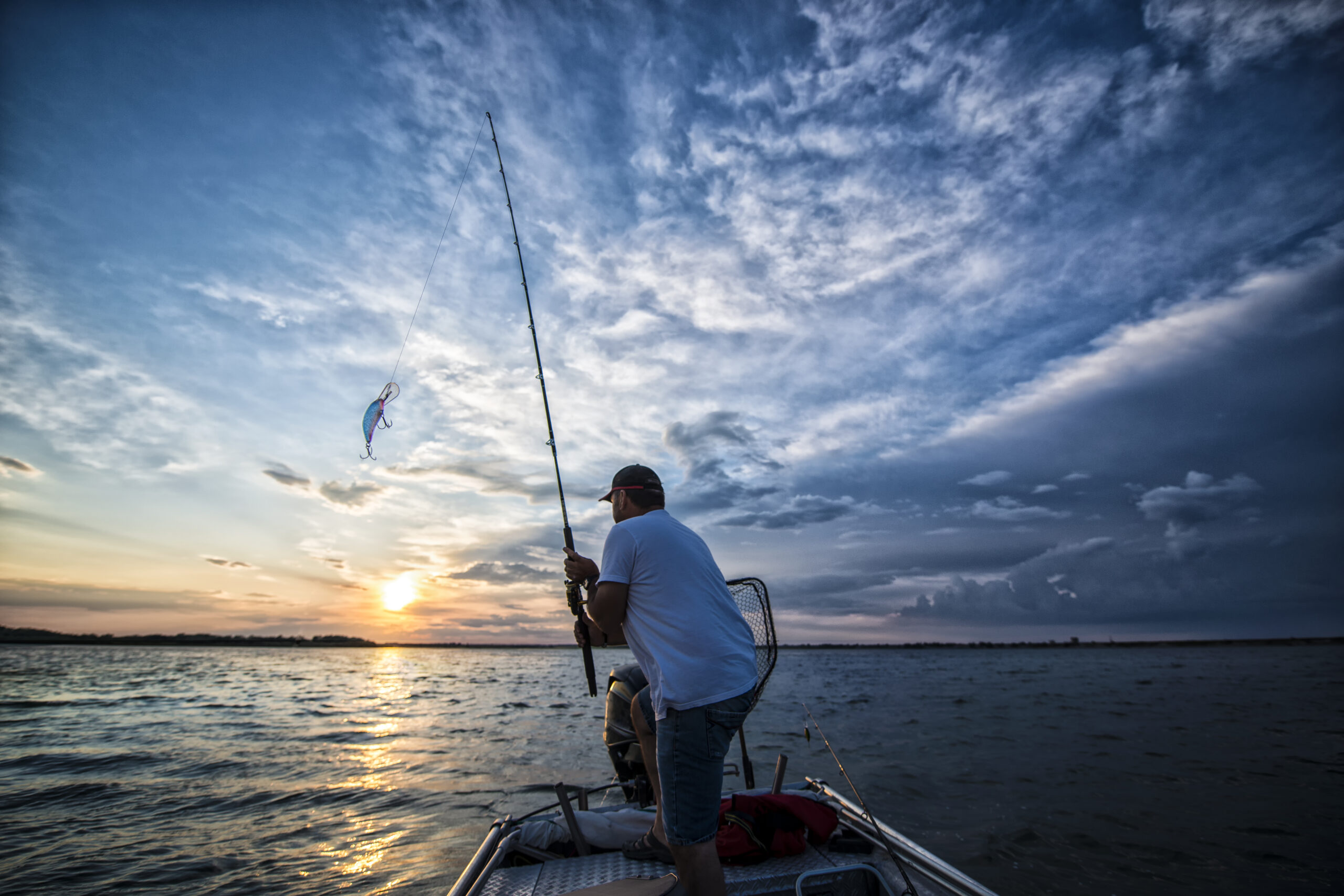 Angler in action