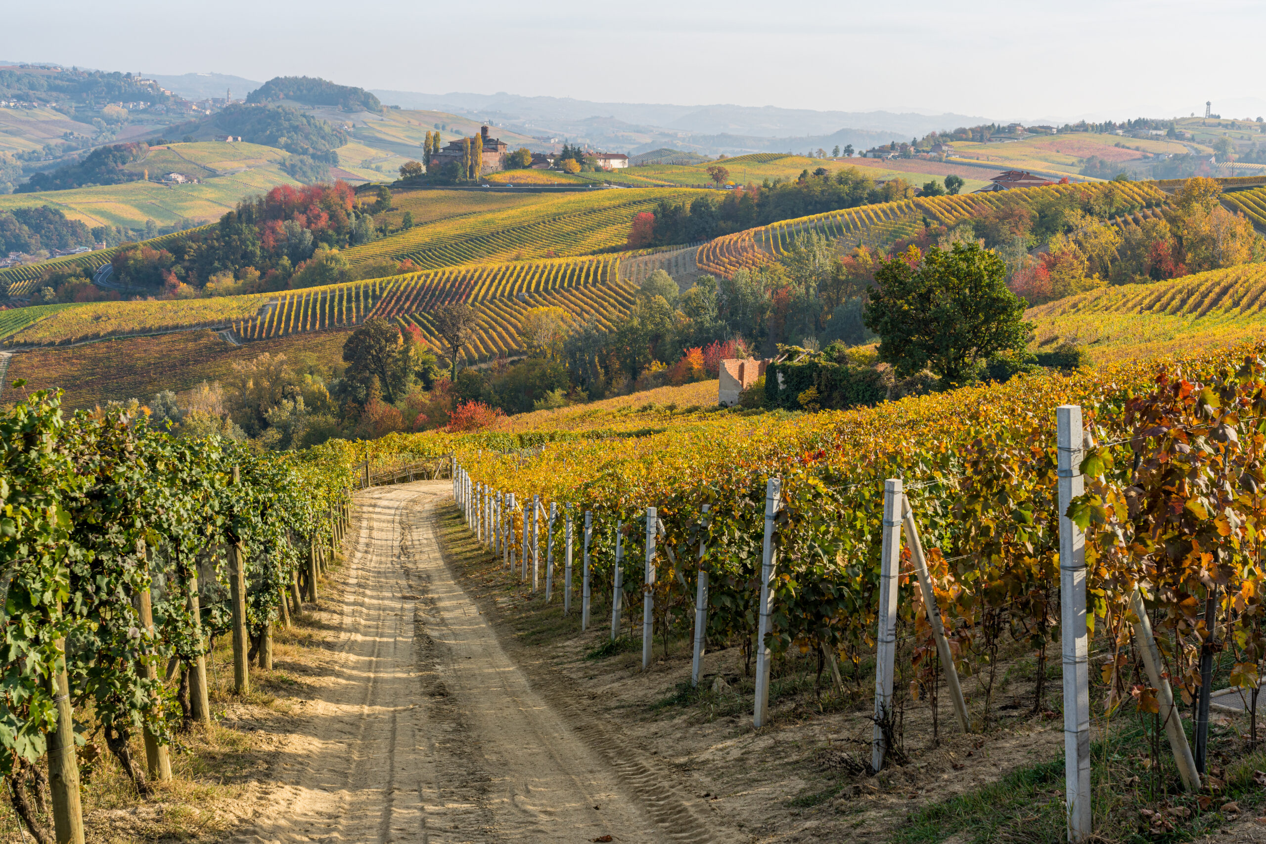 autumnal landscape with the Castello della Volta, in the langhe region of Piedmont, Italy.