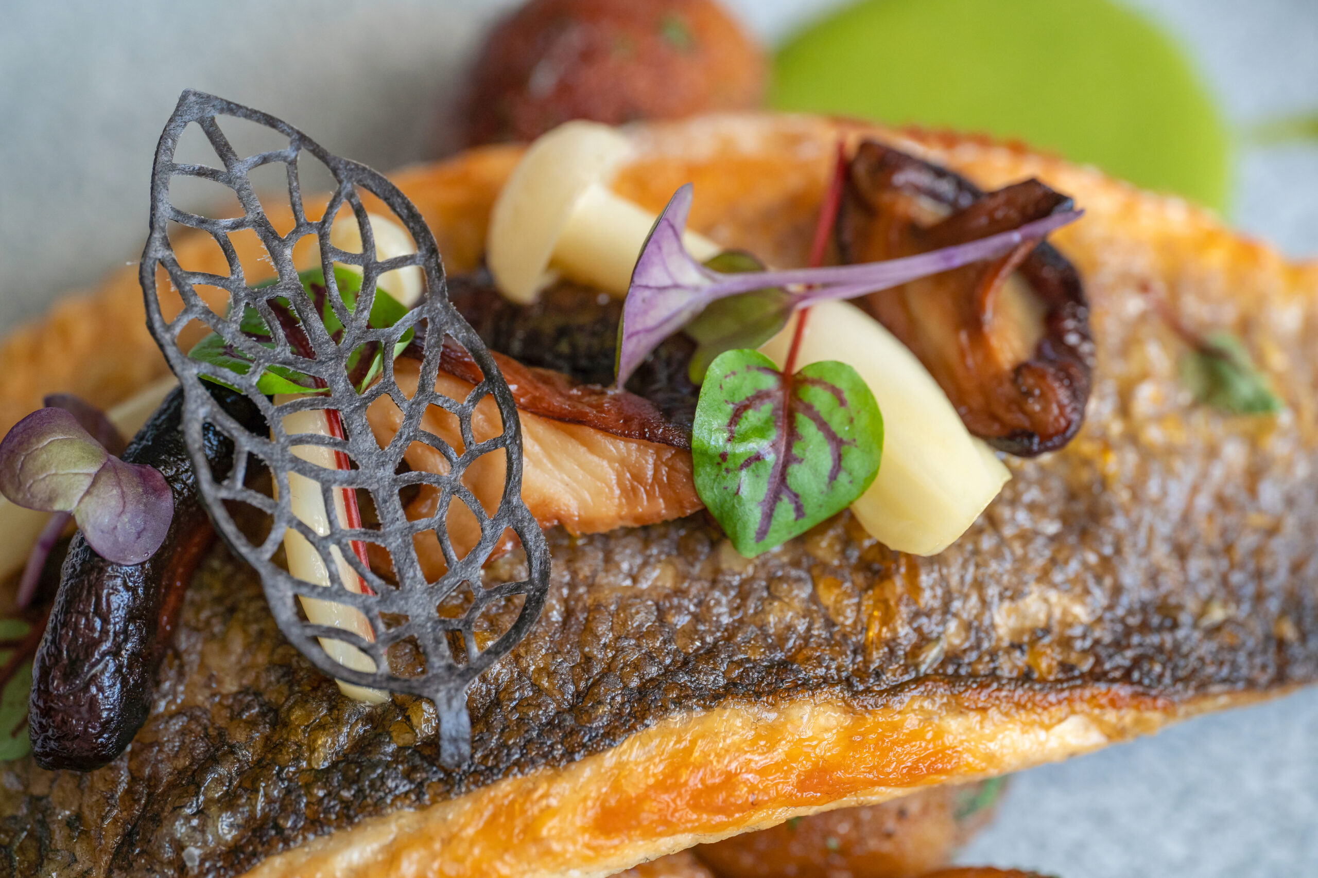 Close up of a chocolate leaf decoration on the gourmet food. Roasted branzino fish fillet and mushrooms on the plate.