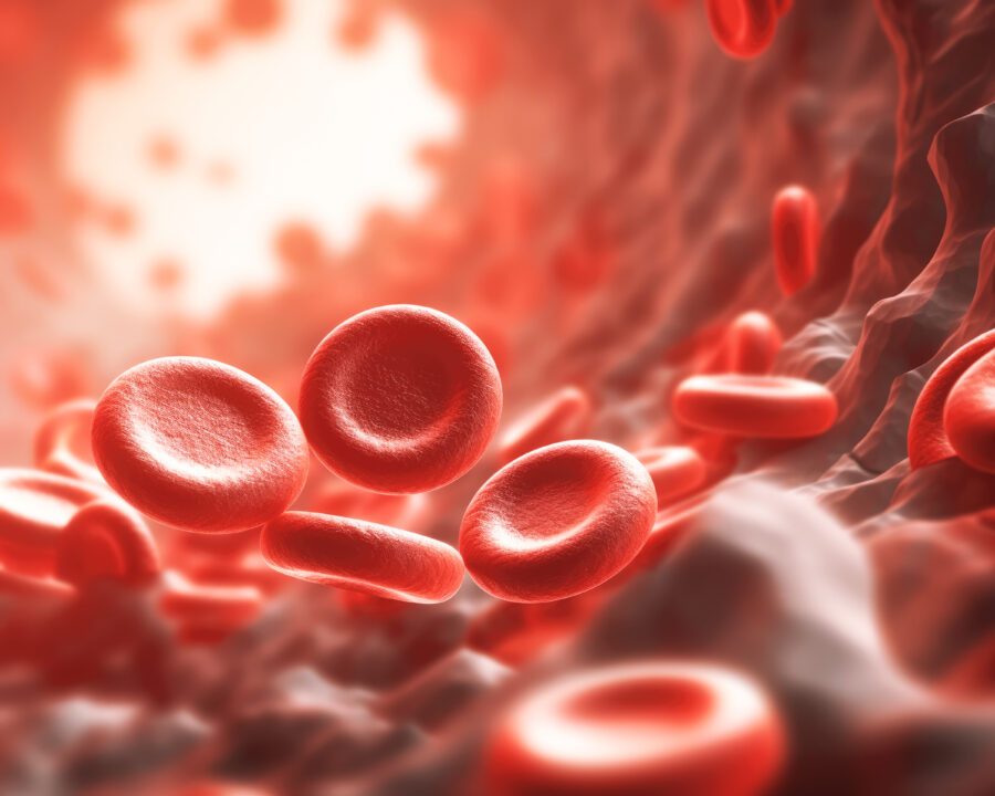 Concept image of red blood cells. 3D image 