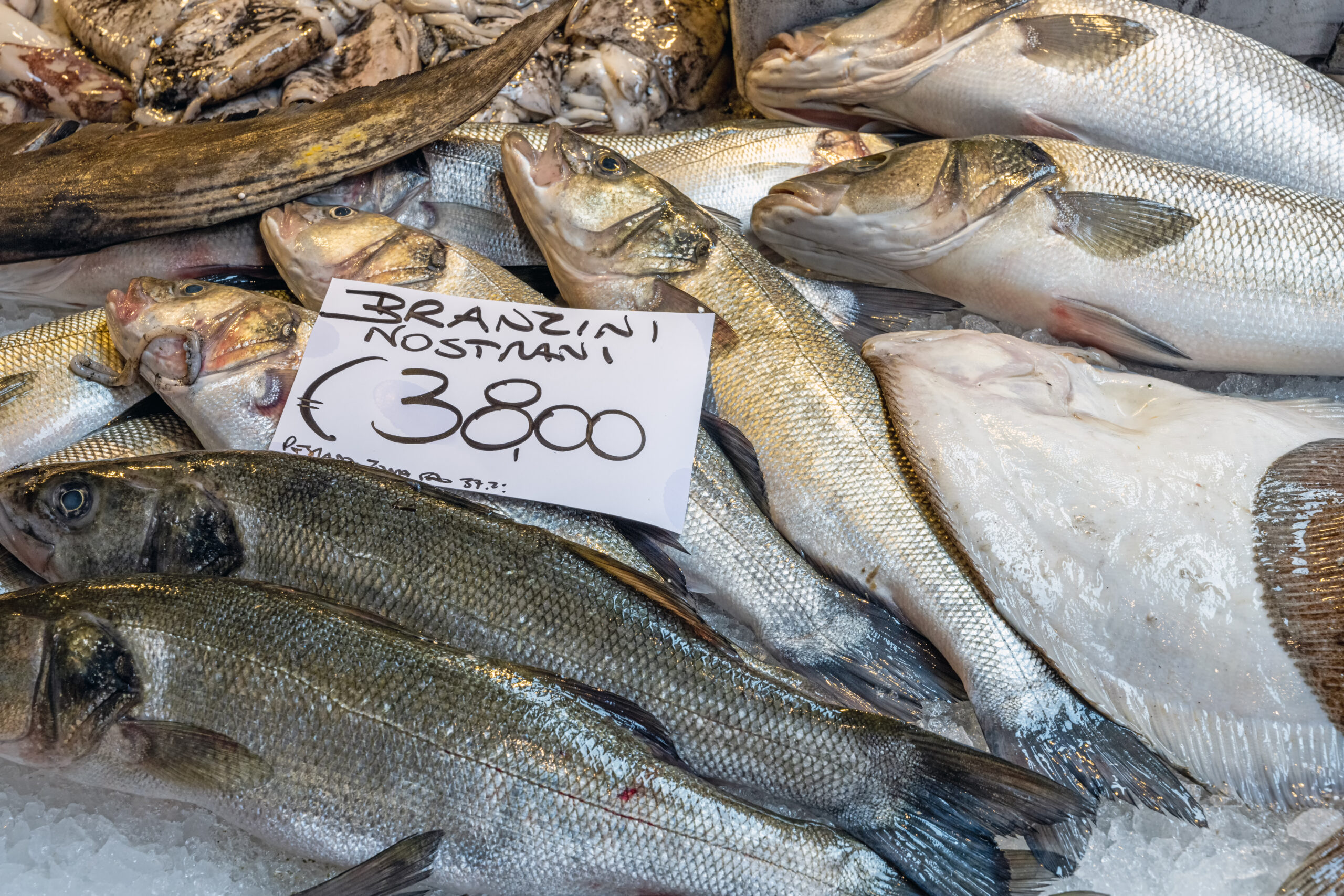 European bass for sale at a market in Venice, Italy