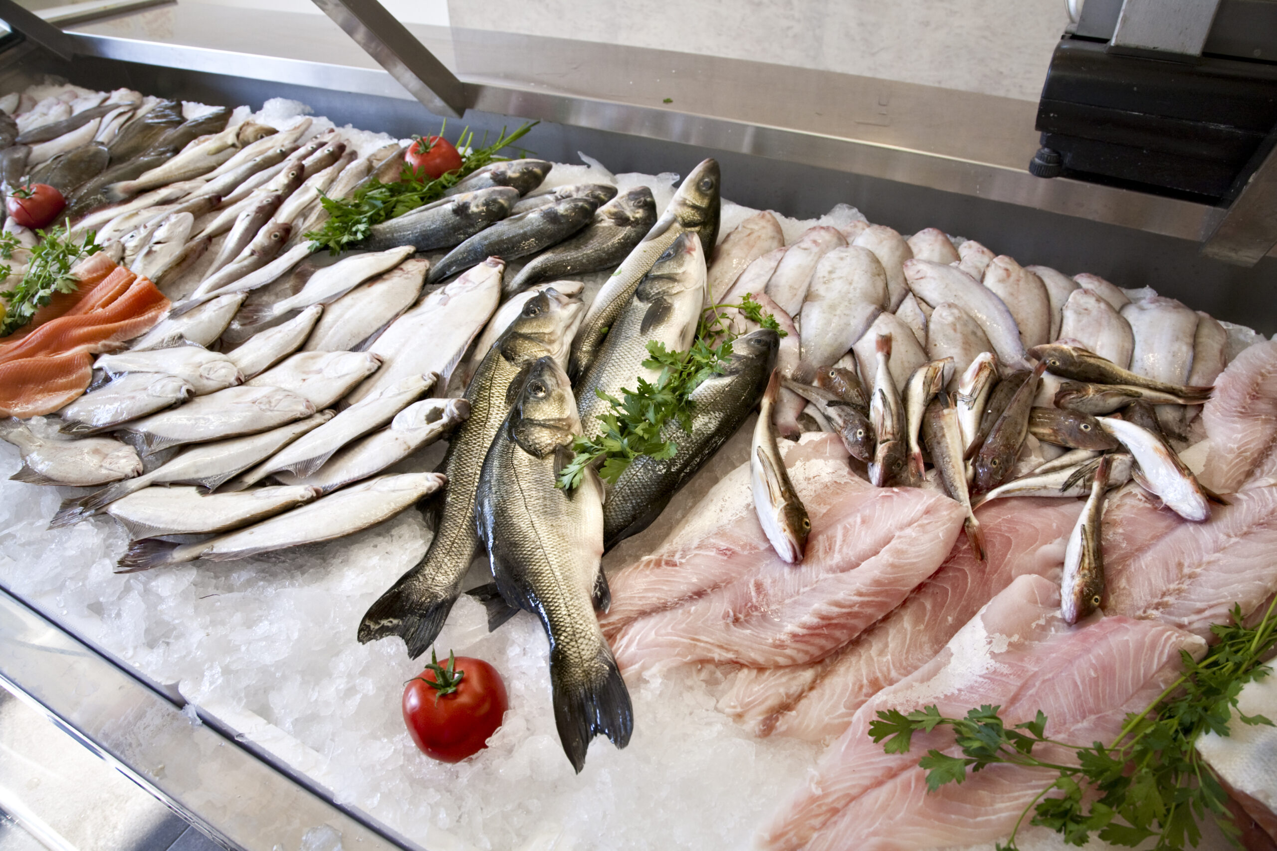 Raw fresh fish for Sale at the Supermarket