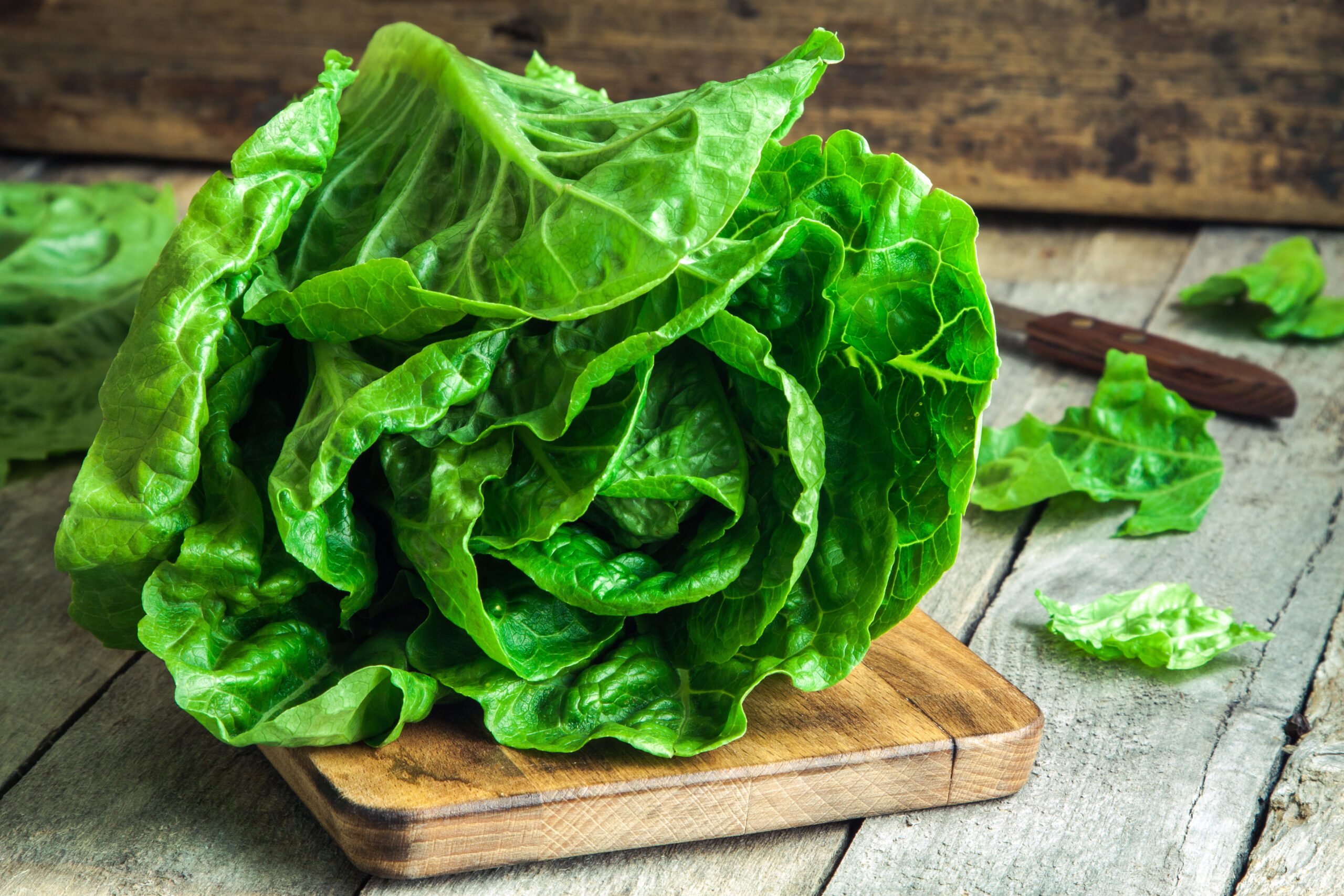 ripe organic green salad Romano on a cutting board