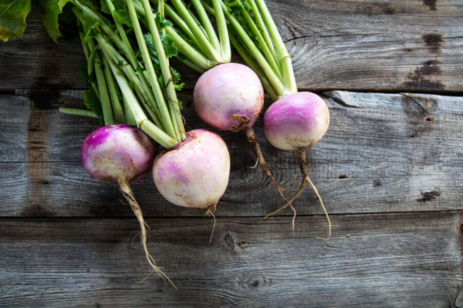rustic organic turnips with fresh green tops and roots on genuine wood