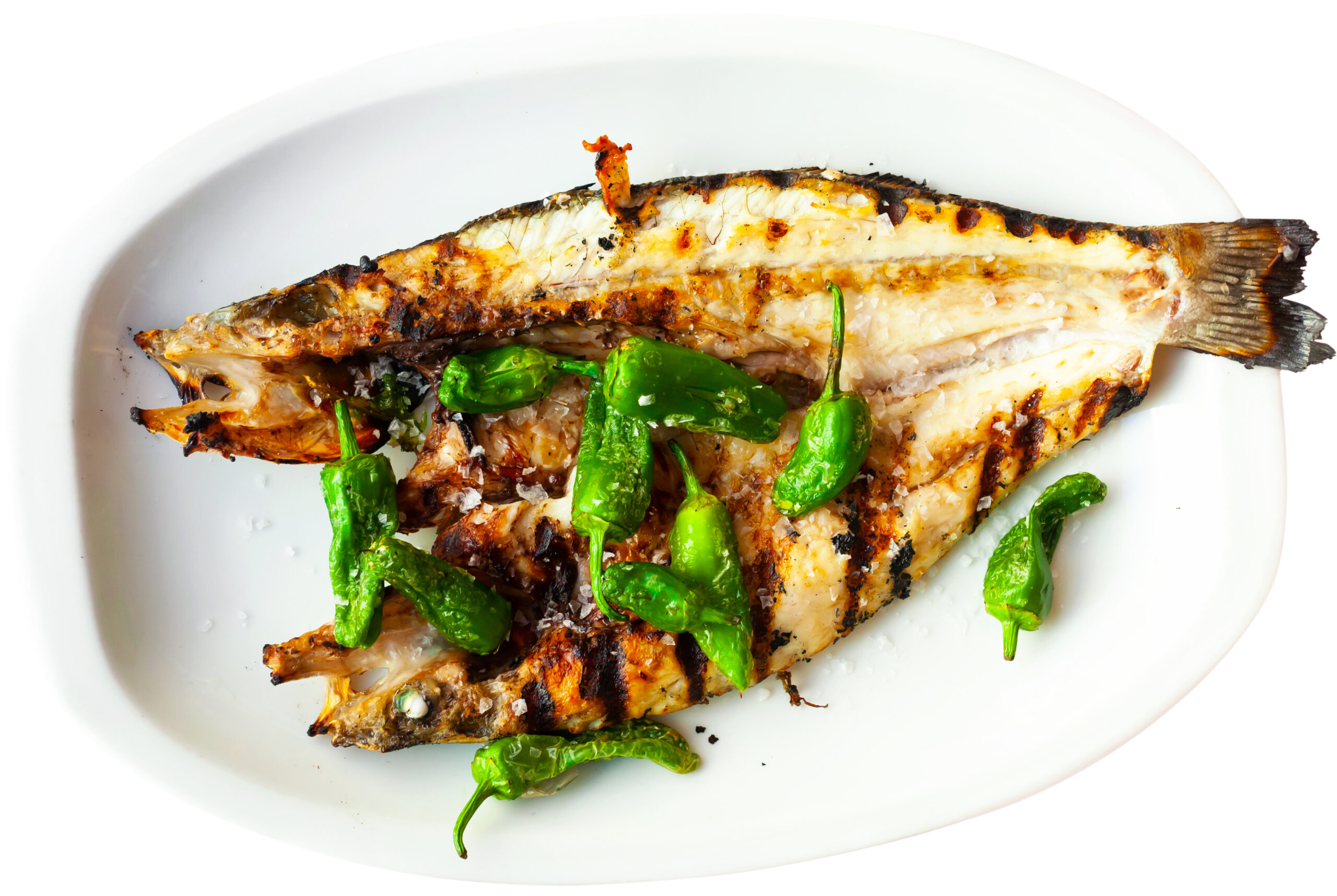 Seafood dish, grilled sea bass fish with green peppers on platter. Isolated over white background