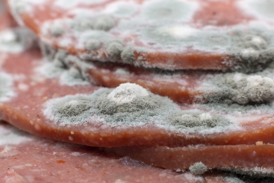 Slices of old pepperoni with mold growing in it