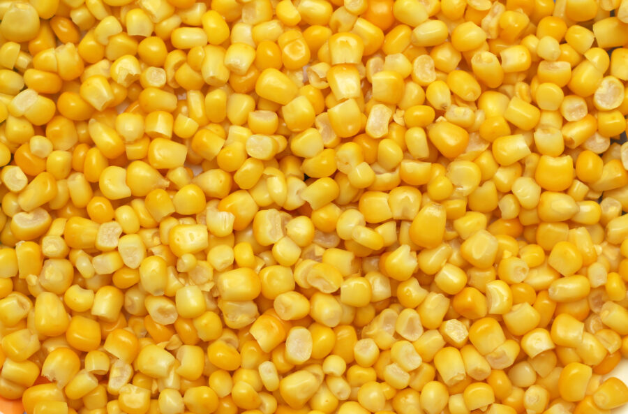 Sweetcorn