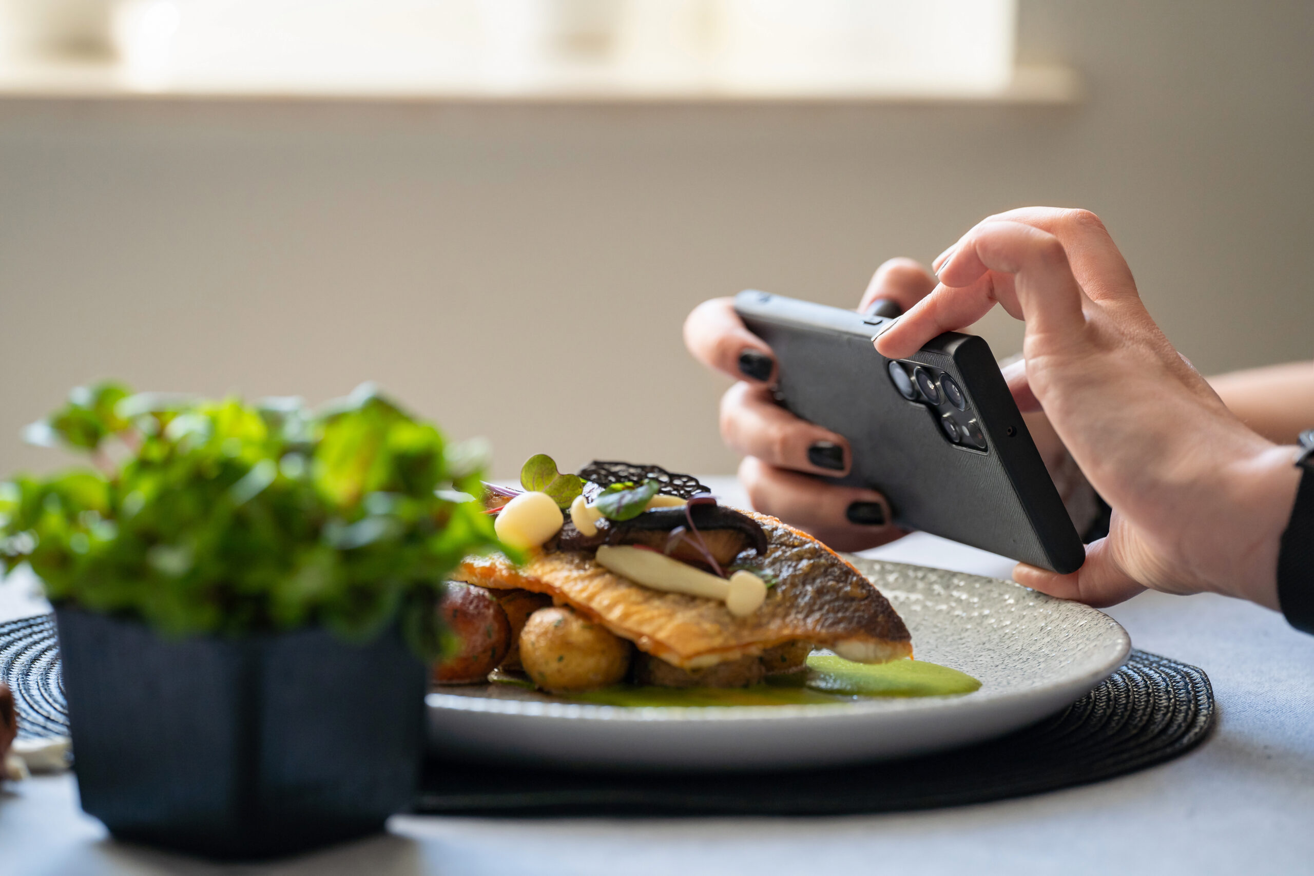 Taking photo with smart phone of food. Roasted branzino with marinated mushrooms and butter potatoes on the plate. Posting and sharing food pictures on social media.