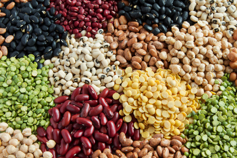 Various Legumes, colorful beans top view