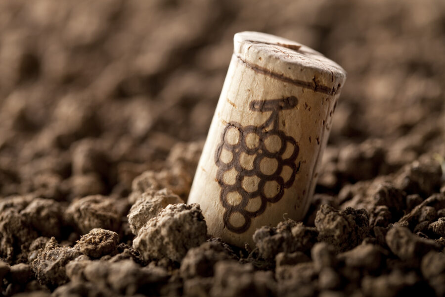 Wine cork on the soil.