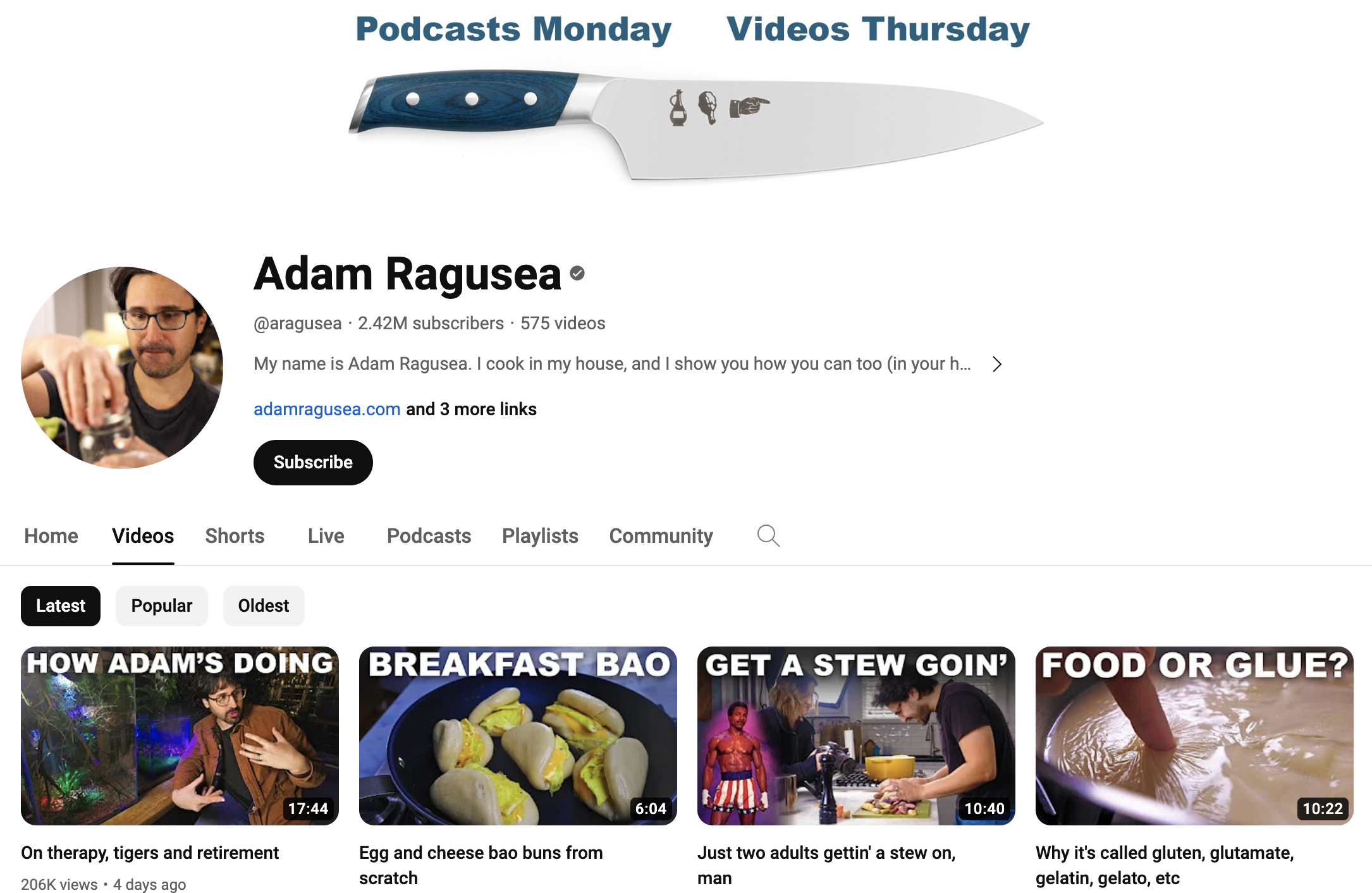 Screenshot of video page from YouTube cooking channel Adam Ragusea